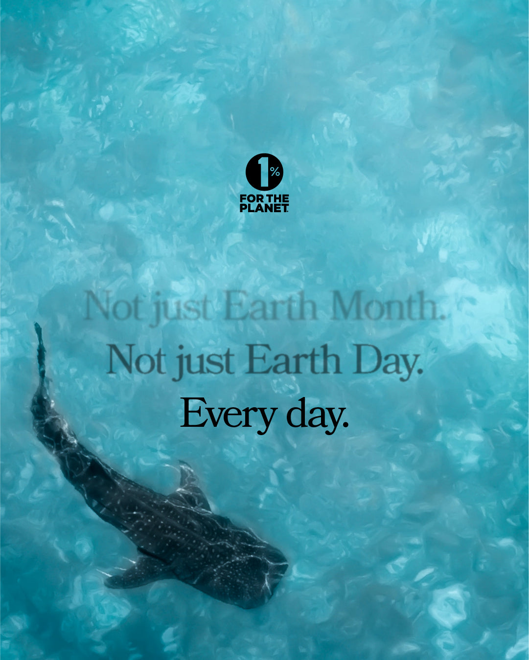 A photo of a swimming shark with the text: Not just Earth Month. Not just Earth Day. Every day. From 1% for the Planet